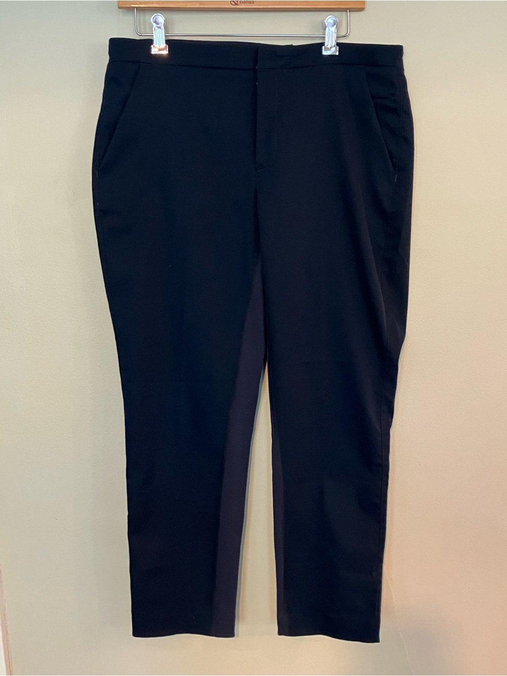 Lululemon Blue Womens Pants &Go City Trek Trouser
